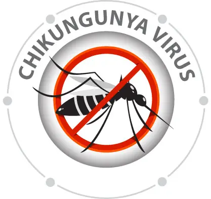 chikanguniya_virus_img1